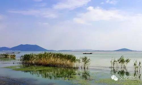 诗意东山｜花间小坐夕阳迟