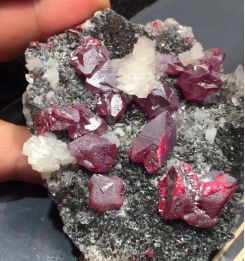 校友故事|湘西飞出“红凤凰”,环保朱砂助力老乡建家乡