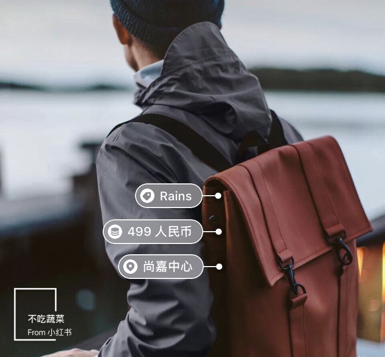 略显惊艳又比较普通的双肩包,有没有什么大牌又显低调的双肩包