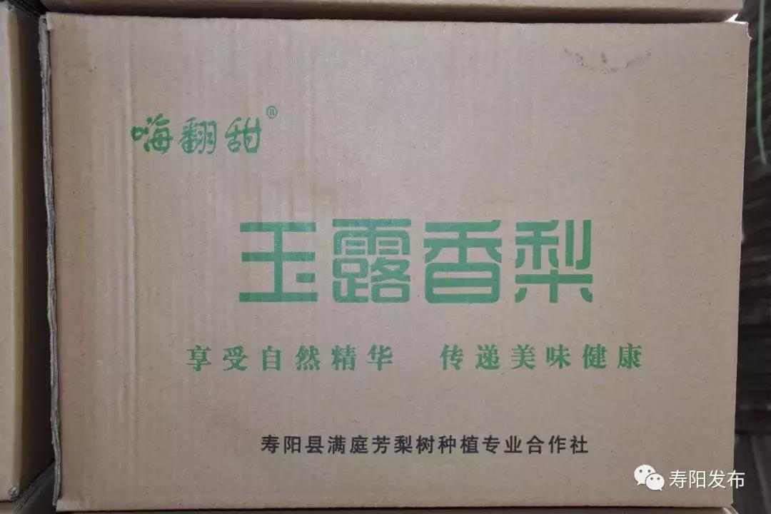 寿阳县富家沟梨儿熟了!又见梨果满枝头