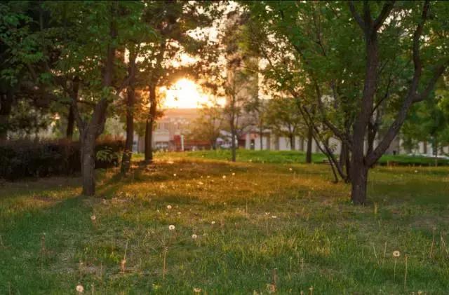 辽大毕业生真实就业,辽大本科毕业要求