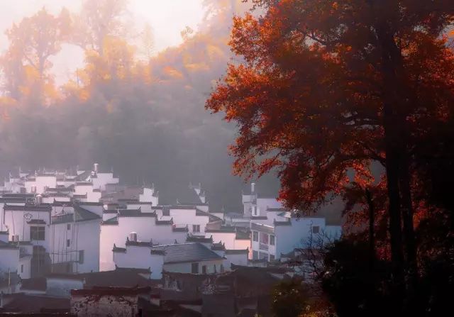 秋天的婺源篁岭,秋天的婺源有什么