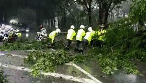 山竹现在情况怎么样,山竹最新消息东莞