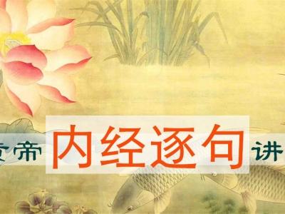 中医经典app下载,中医经典门诊是什么