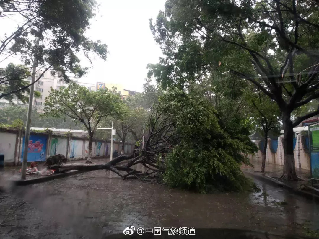 广州12345最有效的投诉方法,广州12345是24小时热线吗