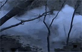 真实事件改编（十二）：据说物件用久了，真的会被注入“灵”