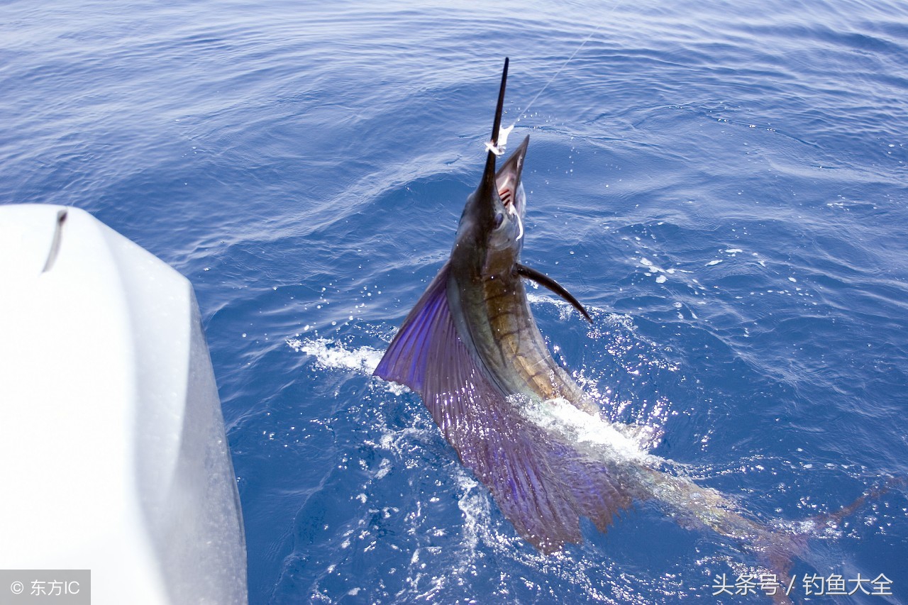 钓鱼不咬钩,钓鱼不咬钩怎么办