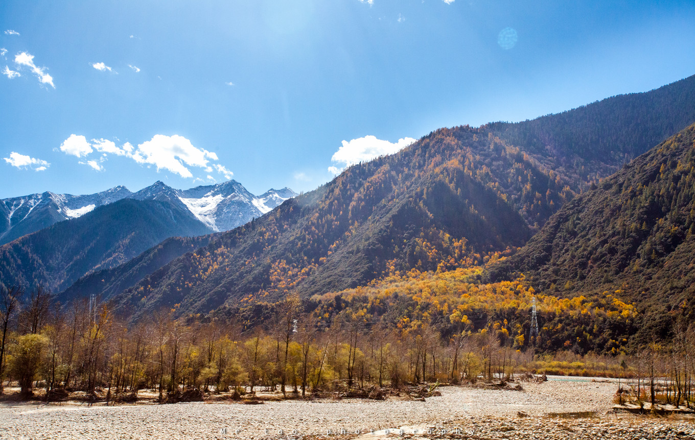 *藏西**一场阔别已久的重逢