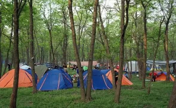 河南露营自驾游推荐,春节河南自驾露营最佳地方