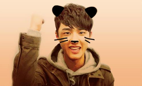 都暻秀百日郎君图片,王子变青蛙100多集