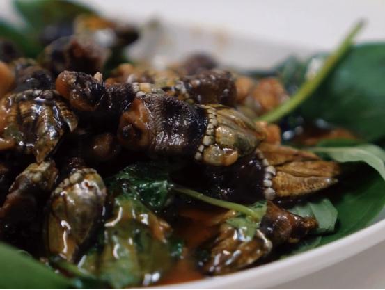 最有用的一味中草药,一根救命稻草