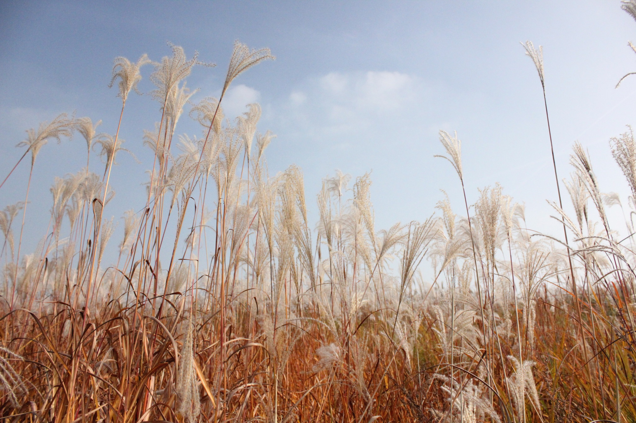 带你走进韩国首尔街道,韩国首尔游玩攻略大全最新
