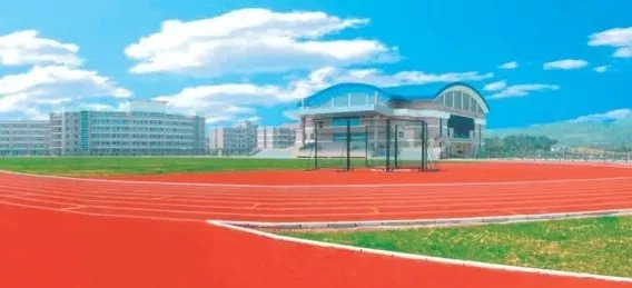 第十六届省运会举办地,省运会赛事抢先看