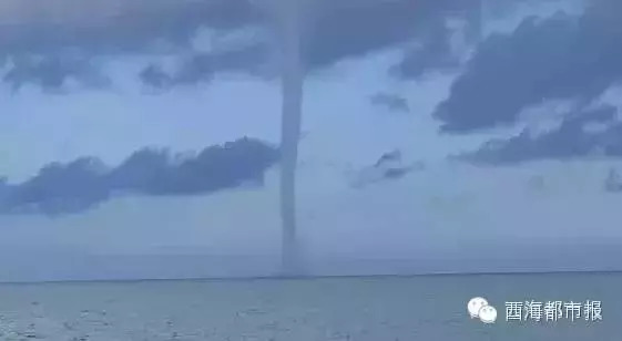 青海十大怪事完整视频,青海十大怪树