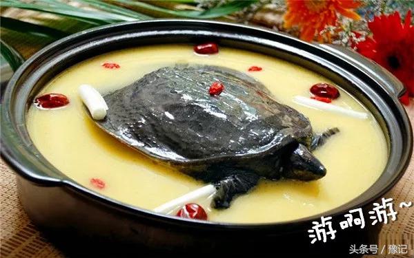 老鳖在湖里能生存吗,一个大白桶老鳖可以爬出来吗