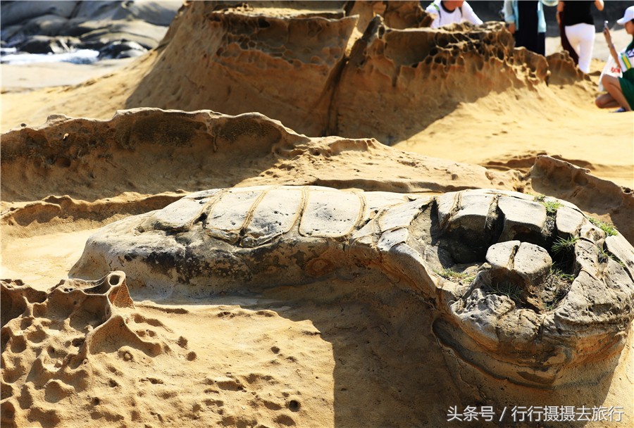 淡水老街图文,台湾老街野柳公园