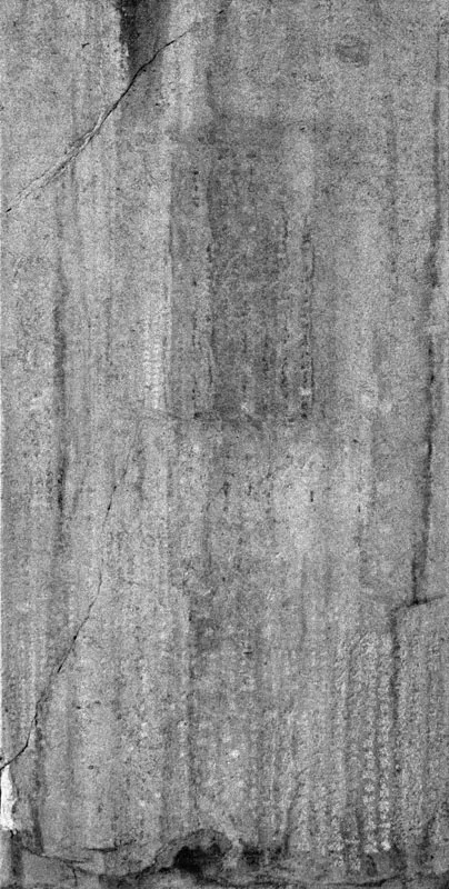 展讯|心师目:秋麦艺术展