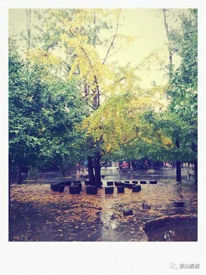 银杏村是个什么样的村落？它的美可以让人摒弃浮躁忘却烦恼