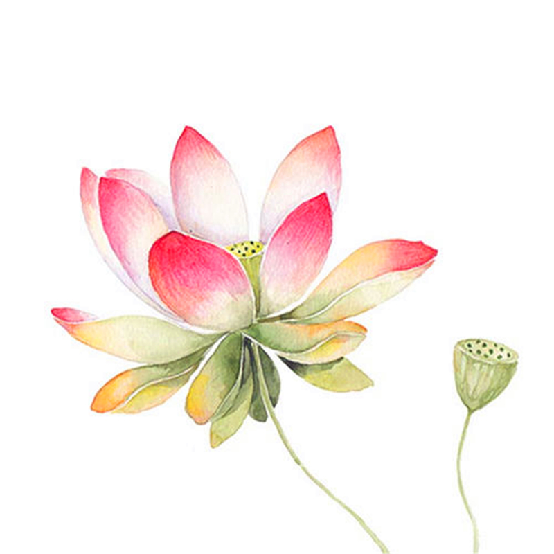 唯美且有深意的古风词语,爱情古风唯美成语