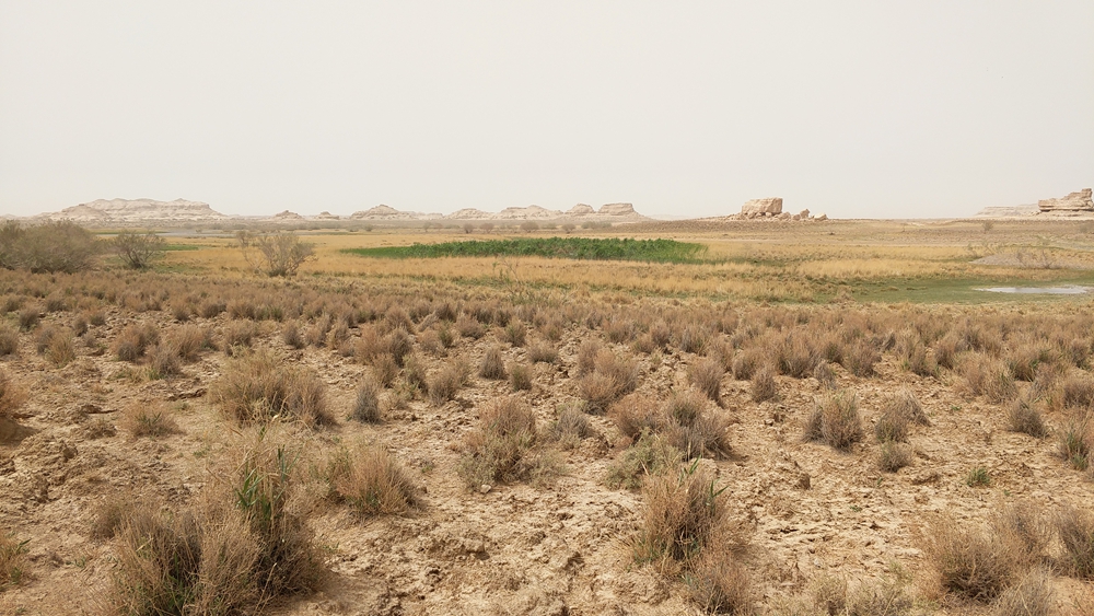 死亡并不可怕可怕的是被人遗忘,死亡可怕还是活着可怕