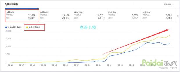 新店运营技巧视频,新店运营入门基础知识