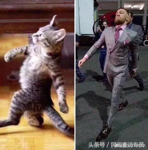 湖北沙市为何能入围全国十强城市,荆州市沙市区在全国排名