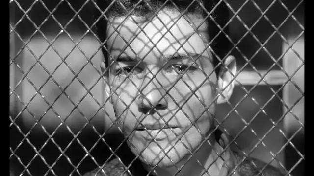 值得看的越狱片,越狱电影巅峰之作