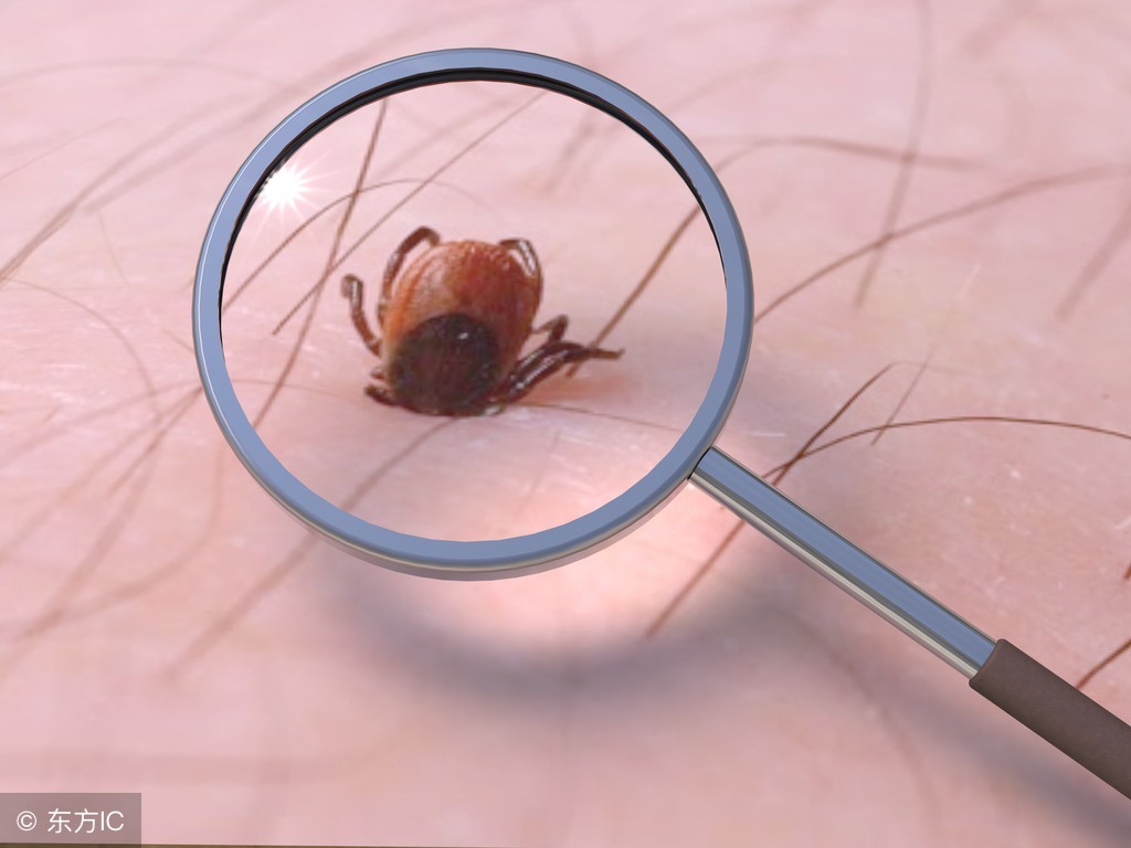 床垫螨虫怎么去除最有效,床垫上的螨虫怎么去除最好方法