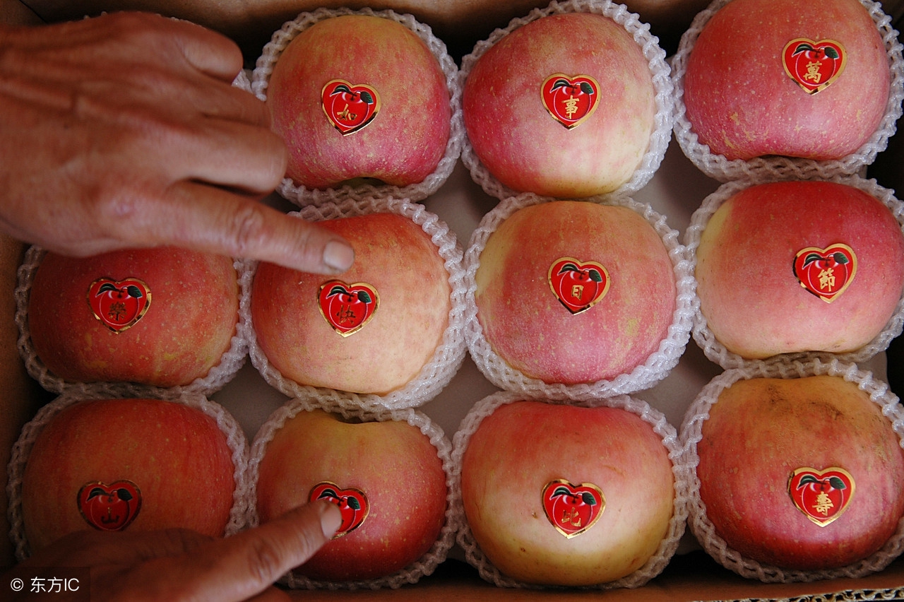 杰哥观市：山东红将军苹果交易进入后期好货偏少，行情好不好？