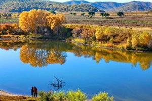 金秋坝上草原摄影,坝上秋天摄影攻略