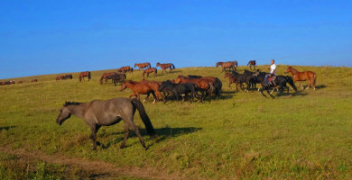 金秋坝上草原摄影,坝上秋天摄影攻略