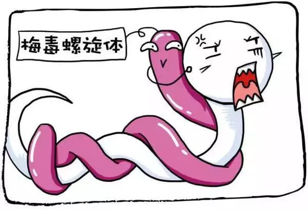 梅毒病的特征和症状,梅毒是一种什么疾病