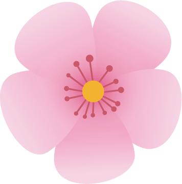 「阳光一班」严煜兴：学校的操场