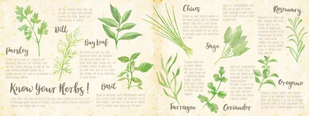 至尊美味还是黑暗料理，这些食谱画的倒是好看，你敢试？