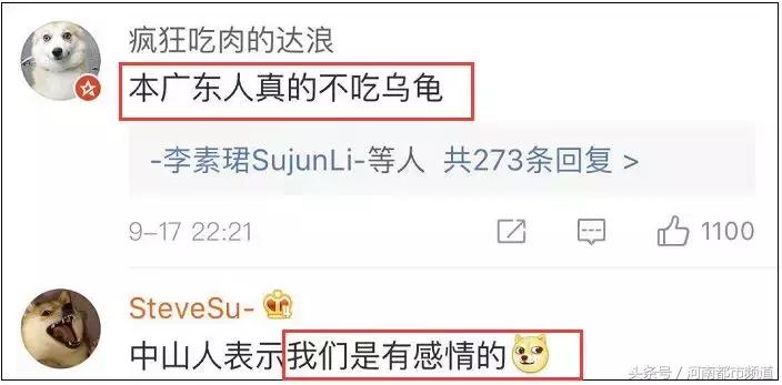 没有感情的广东人！台风天救起的乌龟，第二天就炖汤啦？