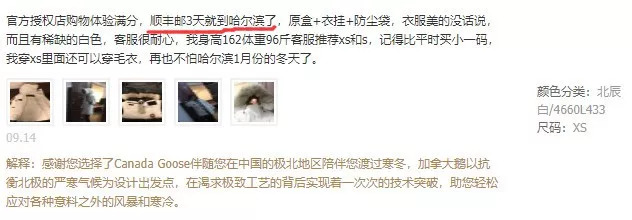 1万一件加拿大鹅卖500元,一万多的加拿大鹅值多少钱