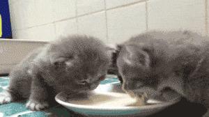 婴幼儿奶粉喝到几岁就可以不喝了,奶粉到底应该喝到多少岁