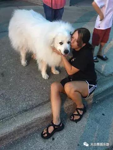 现在买的狗粮都有毒吗,人吃狗粮靠谱吗