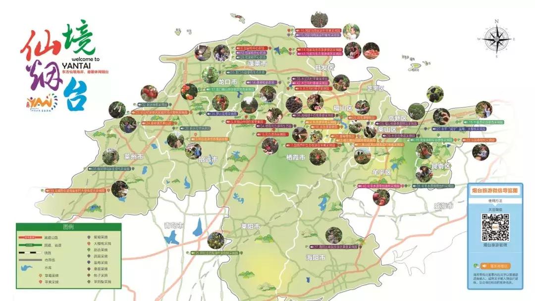 烟台苹果节大赛,烟台苹果节第几届