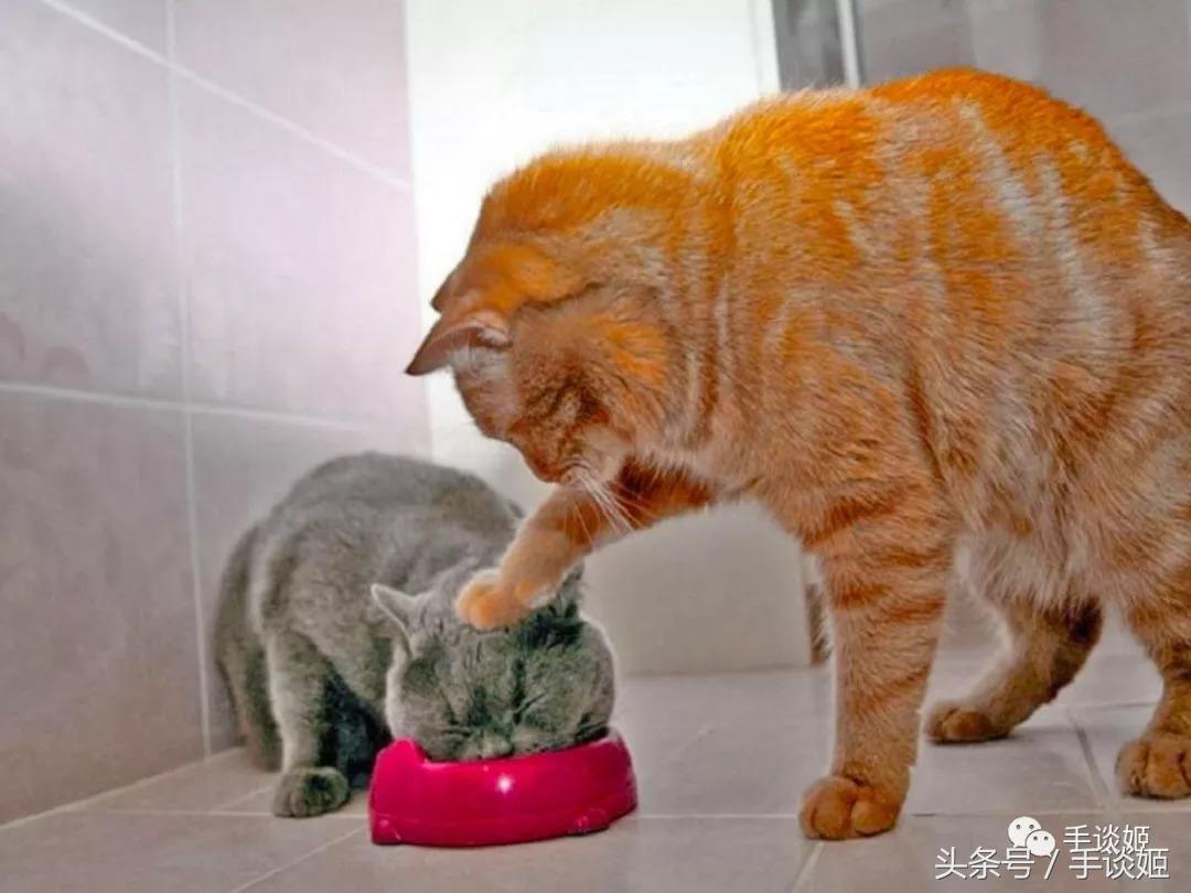 那些有史以来最沙雕的手办,那些被手办大佬神还原的沙雕