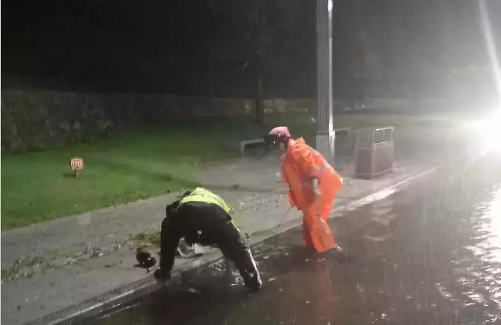 请给他们多一点时间！端州全城风后大修缮