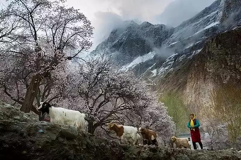 跟着大咖体验南疆最经典路线，玄奘东归路、沙漠胡杨、民俗风情！