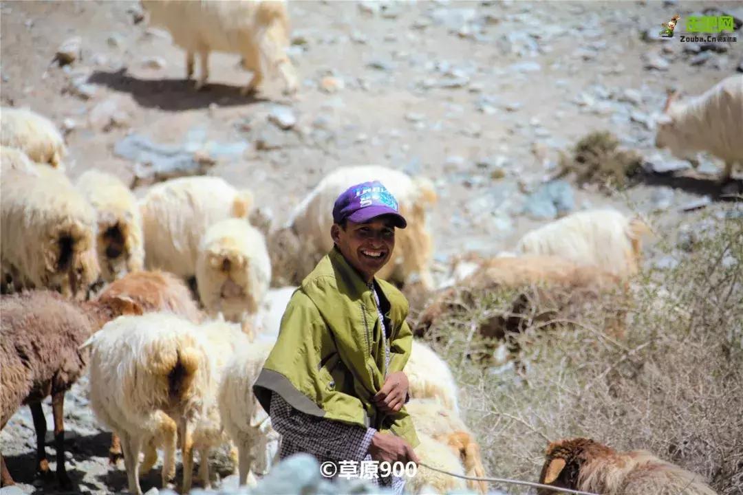 跟着玄奘西行,跟着唐僧去旅行观感和收获