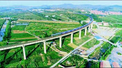 山东成功挺进全国八强,山东省挺进八强