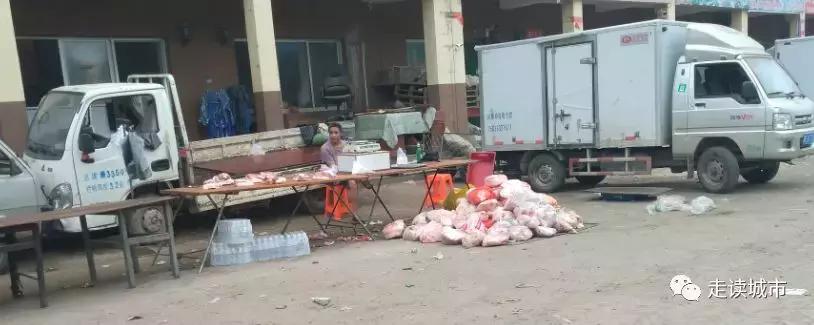 容城县容城镇容城小学,容城镇和容城大道有什么区别