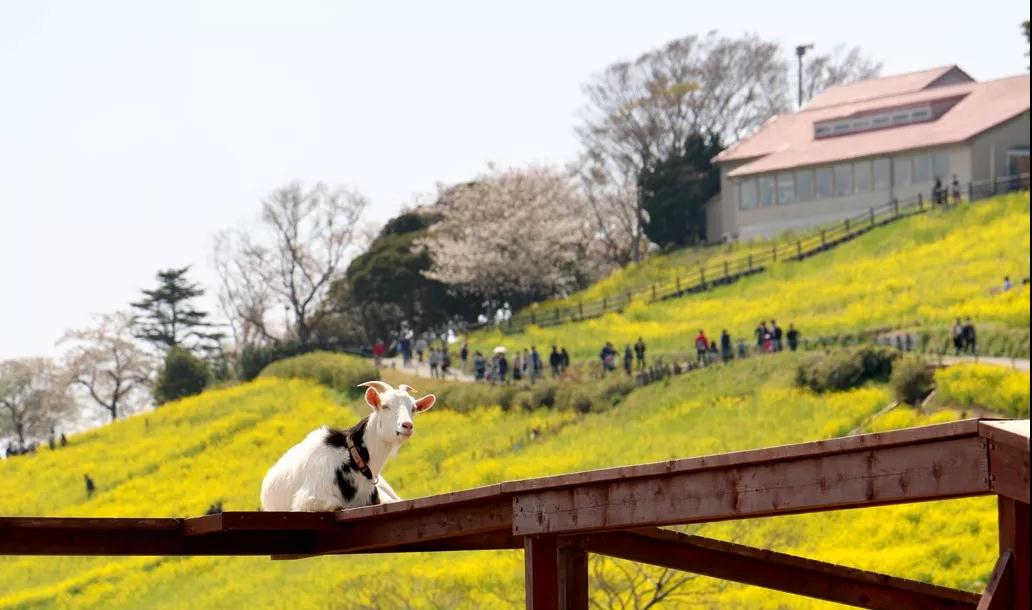 亲子牧场推荐,亲子牧场有哪些
