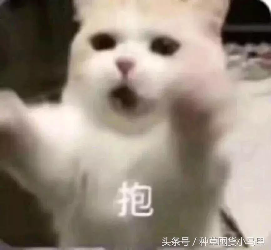 mac正品和假货使用有啥区别吗,二十几的mac真的假的