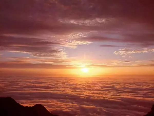 Hi，我是即将站上世界C位的山东！