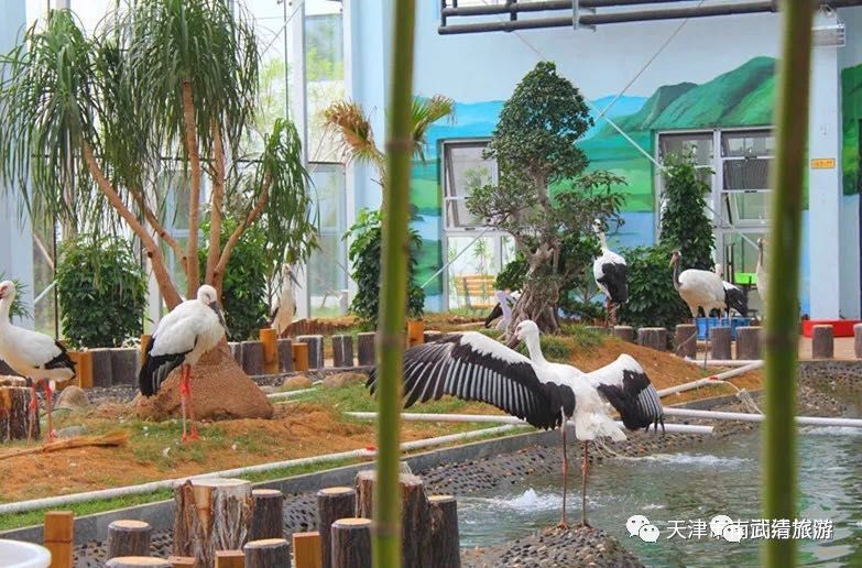 武清南湖旅游景点大全,武清南湖风景区最新消息