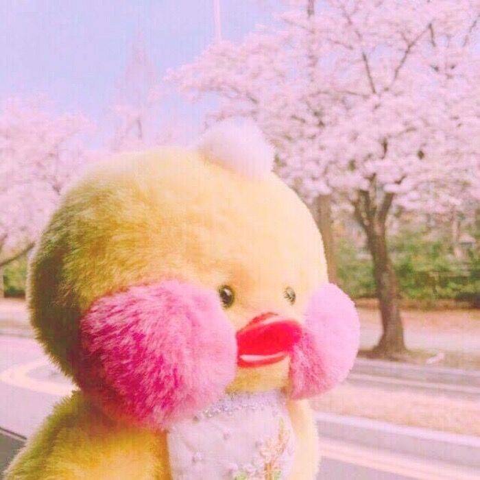 「玻尿酸鸭头像」呆萌小黄鸭头像